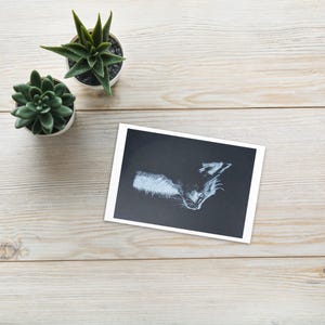 Cute Cat - Carte postale / Impression d'art 4x6''
