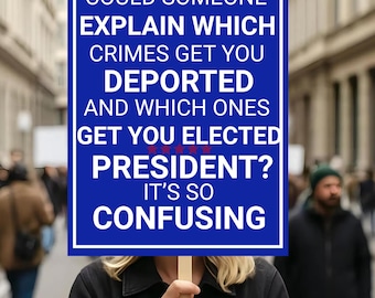 Which Crimes Get You Deported Political Protest Sign, Anti Trump Sign, Political Sign, Trump Protest Signs, Rejecting Kings, No Kings