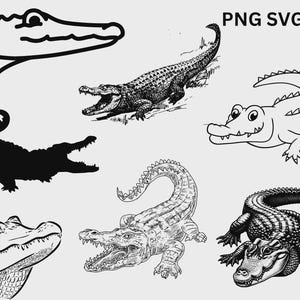 May include: Collection of crocodile illustrations in various styles. Includes a silhouette, line drawings, and detailed sketches of the reptile. The image has the text "PNG SVG JPG" in the upper right corner.