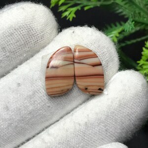 Könnte beinhalten: Zwei polierte, tropfenförmige Edelsteine. Die Steine zeigen ein geschichtetes Muster aus Beige, Creme und Rotbraun. Die Edelsteine werden von einer behandschuhten Hand gehalten, mit einem grünen, blättrigen Hintergrund.