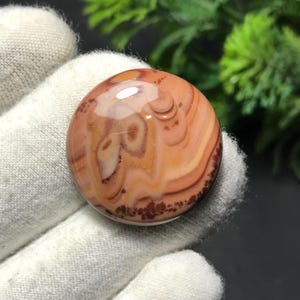 以下が含まれることがあります： オレンジ、茶色、クリーム色の渦巻き模様が施された、研磨された丸い宝石。石は滑らかで光沢のある表面と濃い茶色の縁を持っています。宝石は白い手袋で持たれています。