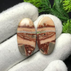以下が含まれることがあります： ベージュ、茶色、グレーの色合いの層状パターンを持つ2つの楕円形の宝石。 研磨された石は自然で素朴な外観をしています。 宝石は白い背景に配置されています。