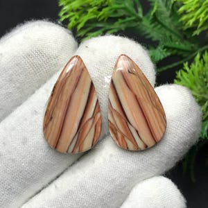 以下が含まれることがあります： 磨かれた涙型の宝石が2つ。石は茶色とクリーム色の縞模様と静脈のパターンを示しています。宝石は白い表面に表示されています。