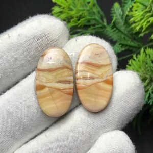 Könnte beinhalten: Zwei ovale Edelsteine mit einem geschichteten Muster in Beige, Braun und Bräune. Die Steine liegen auf einem weißen Hintergrund, mit grünem Laub im Hintergrund. Die Edelsteine haben eine polierte, glatte Oberfläche. Ideal für Schmuck.