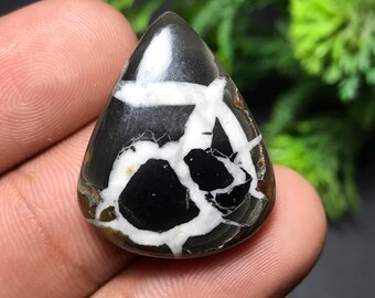 May include: A teardrop-shaped gemstone with a polished surface. The stone features a striking pattern of black and white veining against a dark brown base. The gemstone is held in a hand, with a blurred green background.