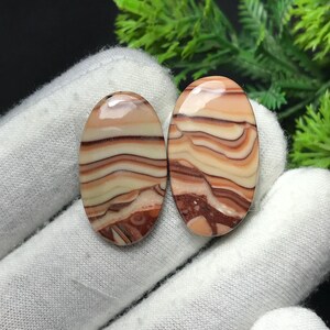 Op de afbeelding: Twee ovale, gepolijste edelstenen. De stenen tonen gelaagde banden in crème, beige en bruine tinten. De edelstenen liggen op een witte stoffen achtergrond, met groen gebladerte in de rechterbovenhoek.