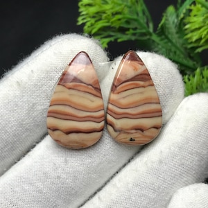 Op de afbeelding: Twee druppelvormige edelstenen met een gelaagd patroon van beige, bruine en roodbruine tinten. De gepolijste stenen hebben een glanzende afwerking en worden gepresenteerd tegen een witte achtergrond.