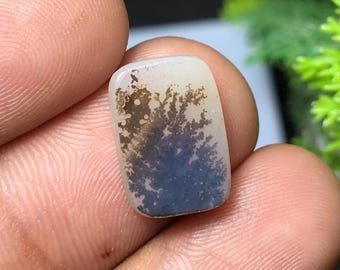 Cabujón de ágata paisajística: Piedra preciosa con forma de paisaje para la fabricación de joyas, 14x10x2 mm, 4,15 quilates.