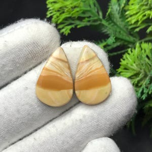 Könnte beinhalten: Zwei tropfenförmige Edelsteine mit einem geschichteten Muster aus Creme-, Beige- und Brauntönen. Die polierten Steine werden vor einem weißen Stoffhintergrund präsentiert, mit grünem Laub in der oberen rechten Ecke. Diese Steine eignen sich für die Schmuckherstellung.