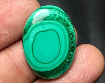 May include: Oval-shaped malachite gemstone with concentric bands of varying shades of green. The polished surface reflects light, highlighting the stone's natural patterns. The gemstone is held between fingers, showcasing its size and detail.