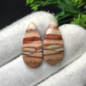 Op de afbeelding: Twee druppelvormige, gepolijste edelstenen. De stenen hebben een gelaagd patroon van roodbruine, beige en crèmekleurige tinten. De edelstenen worden gepresenteerd op een witte doek, met groen gebladerte op de achtergrond.