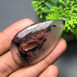 May include: A polished, teardrop-shaped gemstone with a translucent, light-brown base. The stone features intricate black dendritic inclusions and a reddish-brown internal feature. The gemstone is held in a hand, with green foliage in the background.
