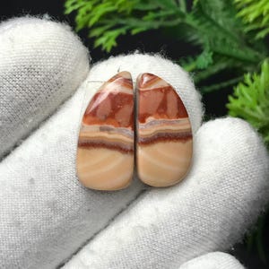May include: Two polished gemstone cabochons with a layered pattern of tan, brown, and cream colours. The cabochons are teardrop-shaped and appear to be set against a white background.