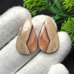 以下が含まれることがあります： 磨かれた仕上げの、涙の形をした2つの宝石。石は、ベージュ、クリーム、赤茶色の渦巻き模様が特徴です。宝石は白い表面に表示され、背景には緑の葉があります。