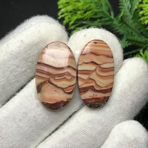 Op de afbeelding: Twee ovale edelstenen met een gelaagd patroon van crème, bruin en roodbruin. De gepolijste stenen hebben een gladde, glanzende afwerking. De edelstenen liggen op een witte achtergrond.