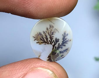 Scenic Agate Cabochon: Landscape Gemstone for Jewelry - 12x11x2mm