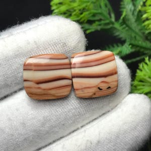 Puede incluir: Dos piedras preciosas cuadradas con esquinas redondeadas. Las piedras muestran un patrón en capas de bandas beige claro, blancas y marrón rojizo. Las piedras están sobre un fondo de tela blanca, con follaje verde visible en el fondo.