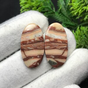 以下が含まれることがあります： クリーム色、茶色、赤褐色の層状模様が施された、2つの楕円形の宝石。 磨かれた石は、緑の葉を背景に白い背景に表示されています。 これらの石は、ジュエリー作りに使用できます。