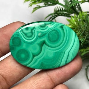 May include: Oval-shaped polished malachite gemstone. The stone features a vibrant green color with swirling patterns and concentric circles. The polished surface reflects light, highlighting the stone's natural beauty. The gemstone is approximately 2 inches in length.
