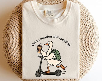 Camiseta divertida para otra reunión del IEP, camiseta para profesor de educación especial, regalo para psicólogo escolar, consejero de educación especial, camiseta Comfort Colors