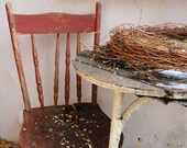Break Time  - Fine Art 4 x 6 Photograph