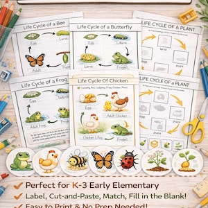 May include: Educational printables showing six life cycles: bee, butterfly, plant, frog, and chicken. The diagrams show the stages of each life cycle. The text reads "Explore 6 Life Cycles!" and "Teach Science Made Fun!"