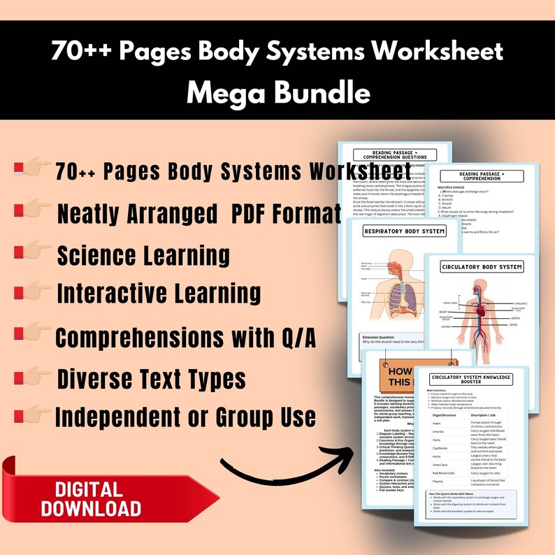 Human Body Systems Worksheets Bundle,anatomy Printables,science ...