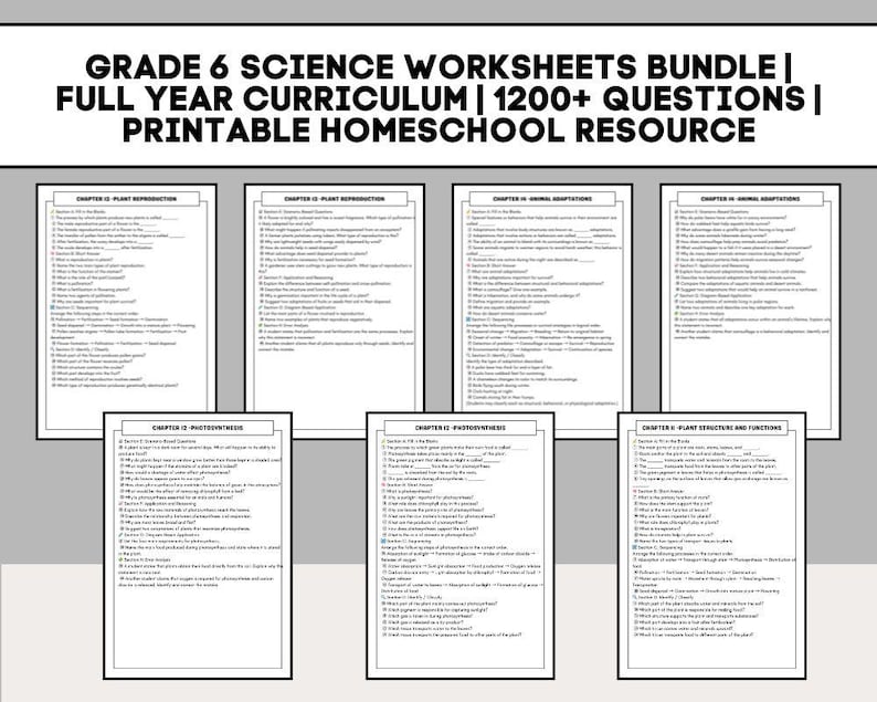 K&ouml;nnte beinhalten: Ein B&uuml;ndel von Arbeitsbl&auml;ttern f&uuml;r Naturwissenschaften der 6. Klasse. Der Titel lautet: Arbeitsbl&auml;tter-Paket Naturwissenschaften Klasse 6 | Ganzj&auml;hriger Lehrplan | &Uuml;ber 1200 Fragen | Druckbare Ressource f&uuml;r Homeschooling.