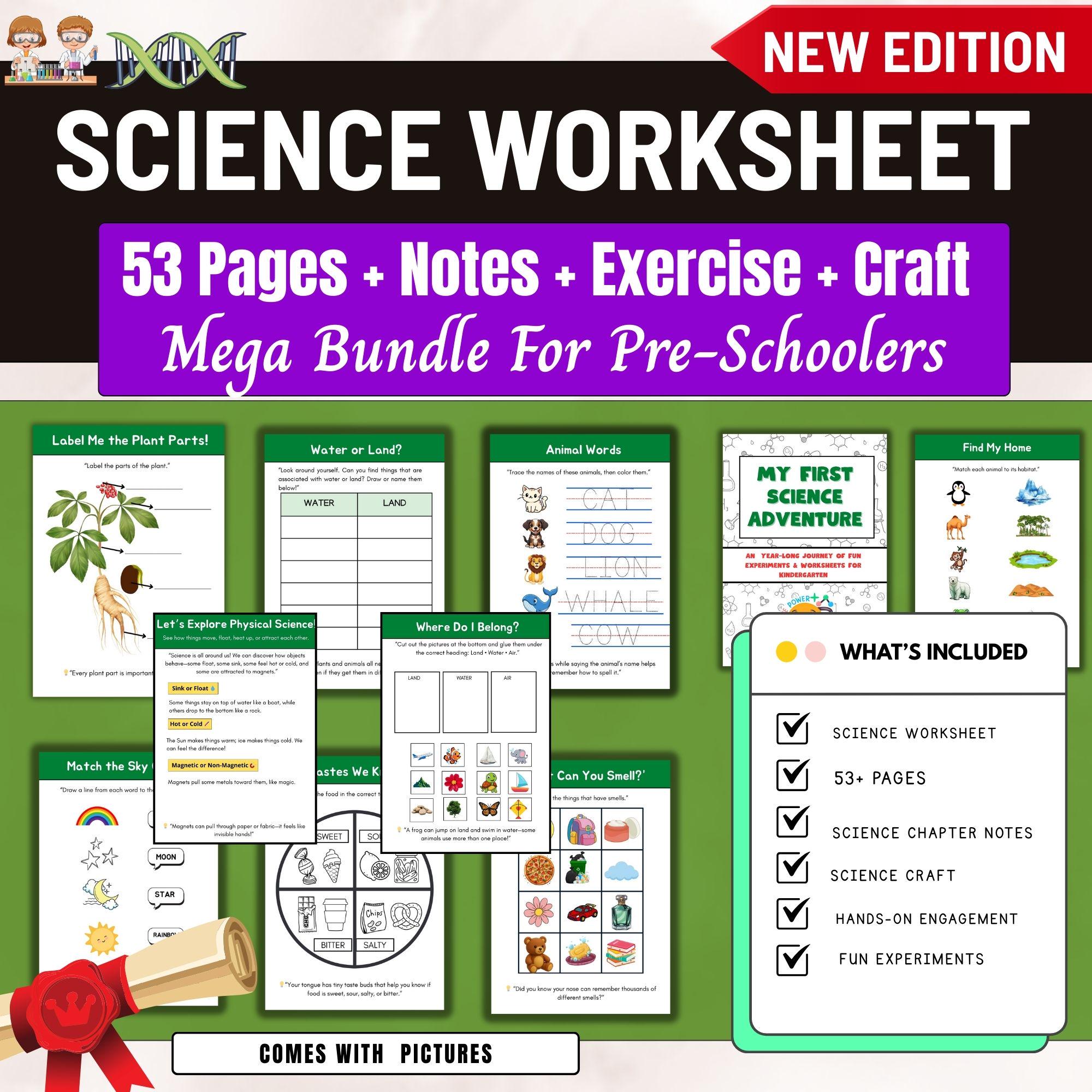 53+pages Science Worksheets for Kindergarten Homeschool,science ...