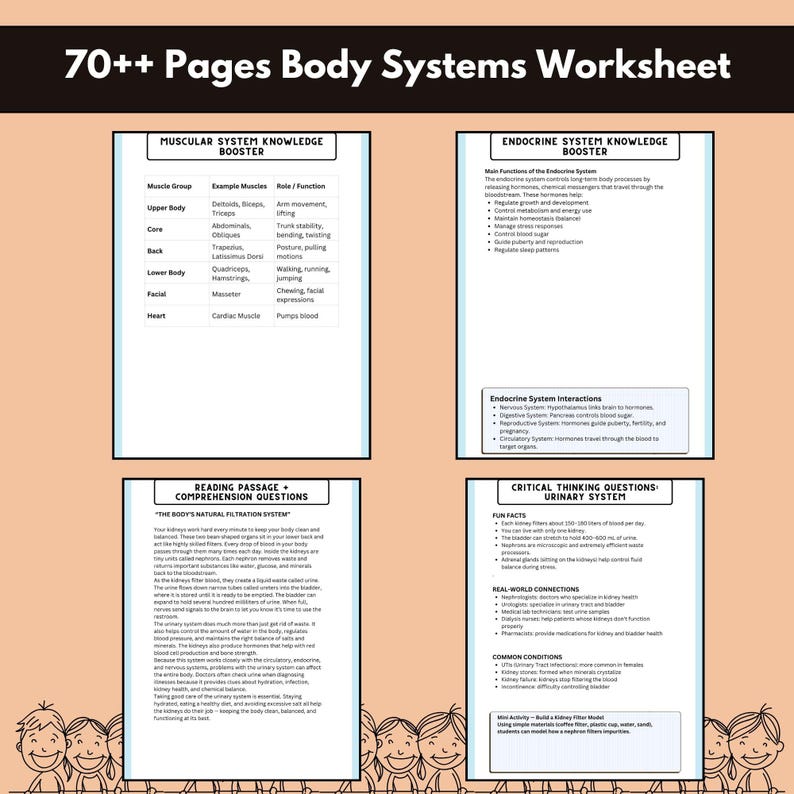 Human Body Systems Worksheets Bundle,anatomy Printables,science ...