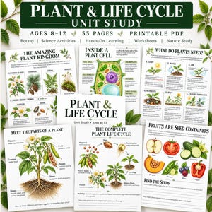 Op de afbeelding: Een 55-pagina tellende printbare PDF-lesmodule getiteld Plant & Life Cycle voor kinderen van 8-12 jaar. De set bevat geïllustreerde werkbladen over plantanatomie, celstructuur, levenscycli en zaadcontainers.