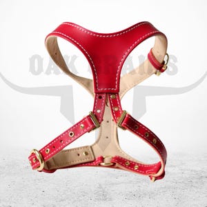 No-Pull Padded Dog Harness: Reflective Vest for Small, Medium & Large Dogs