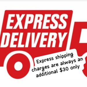 Puede incluir: Gr&aacute;fico de cami&oacute;n de reparto rojo con las palabras "EXPRESS DELIVERY" en blanco. El cami&oacute;n tiene un fondo blanco. La imagen tambi&eacute;n incluye una etiqueta blanca con texto.