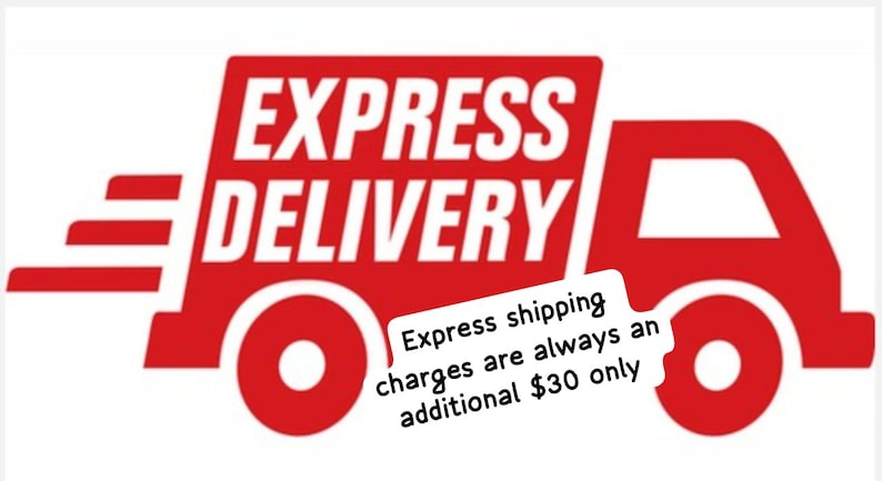 Puede incluir: Gr&aacute;fico de cami&oacute;n de reparto rojo con las palabras "EXPRESS DELIVERY" en blanco. El cami&oacute;n tiene un fondo blanco. La imagen tambi&eacute;n incluye una etiqueta blanca con texto.