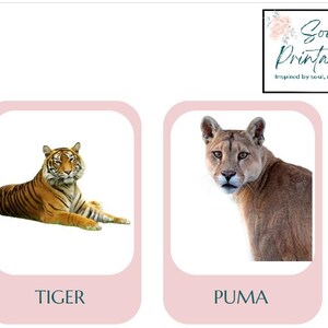 子供向け野生動物フラッシュカード - 印刷可能な就学前学習カード、ジャングルと動物園の動物、幼児向け教育ゲームPDF（2～5歳）