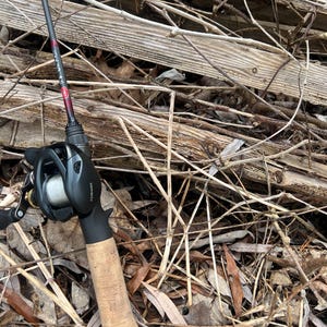 May include: A black and gray fishing rod with a cork handle and a reel. The rod has red accents and is resting on a bed of dry leaves and twigs. The reel is silver and black.