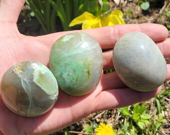 May include: Three polished, oval-shaped stones in shades of green and gray are displayed in a hand. The stones have a smooth, glossy texture and varying patterns. The background includes green grass and yellow flowers.