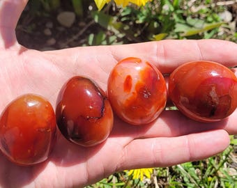 Puede incluir: Cuatro piedras de cornalina pulidas, cada una con una forma suave y redondeada y un rico tono rojo-anaranjado. Las piedras muestran variaciones de color, con algunas que muestran patrones más oscuros, casi burdeos.
