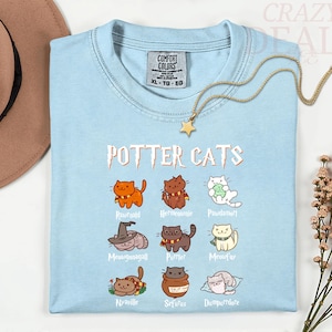 Pu&ograve; includere: T-shirt azzurra con la scritta "POTTER CATS" e illustrazioni di gatti in costume. La maglietta ha un girocollo e maniche corte. Una collana d'oro con un ciondolo a stella &egrave; drappeggiata sulla maglietta.