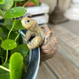 May include: A detailed, decorative turtle figurine in shades of brown and tan, perched on the edge of a blue and white ceramic pot. The turtle has textured detailing on its shell and limbs, with a lifelike appearance. Green plant leaves are visible in the background.