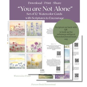 Può includere: Un set di 12 cartoline ad acquerello intitolate You are Not Alone con scritture di incoraggiamento. Le carte presentano paesaggi floreali dai colori tenui. Il retro include testi di scritture stampati e codici QR per riferimenti online.
