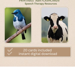 Schede stampabili ABA Animal Tact / Schede di logopedia / Autismo e apprendimento precoce / 20 schede digitali