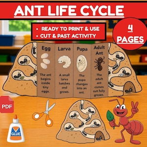 May include: A colorful educational chart illustrating the ant life cycle, with stages from egg to adult ant. Includes the text "ANT LIFE CYCLE", "READY TO PRINT & USE", and "CUT & PAST ACTIVITY". Also includes a PDF icon, glue, and scissors.