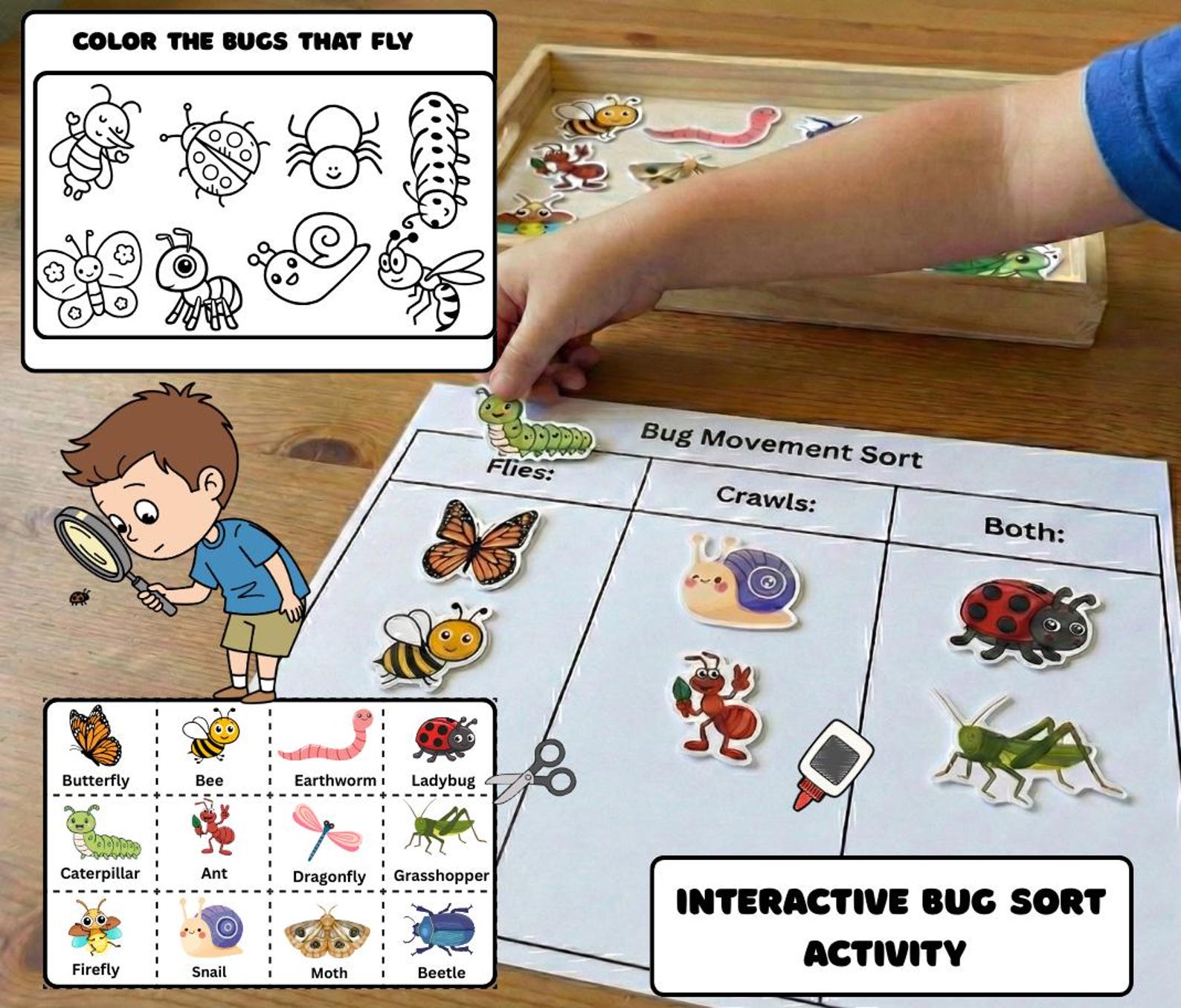 Bug and Insect Activities Packet - Movement Sort, Coloring Pages ...