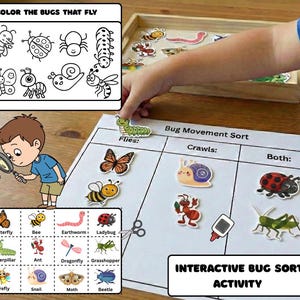 May include: An interactive bug sort activity for children. The image shows a sorting game with colorful bug illustrations, including butterflies, bees, and ladybugs. The text "COLOR THE BUGS THAT FLY" and "INTERACTIVE BUG SORT ACTIVITY" are visible.