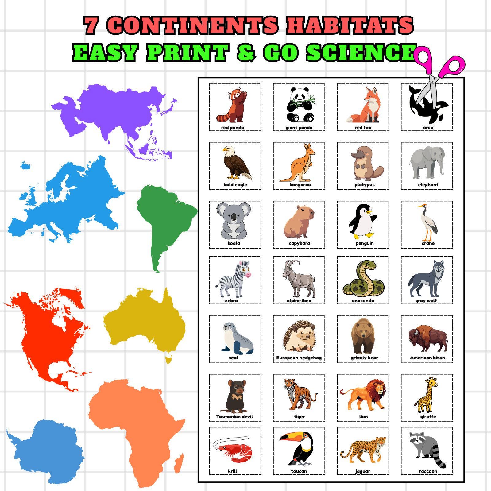 7 Continents Animals Around the World Sorting Mats: Digital Download ...