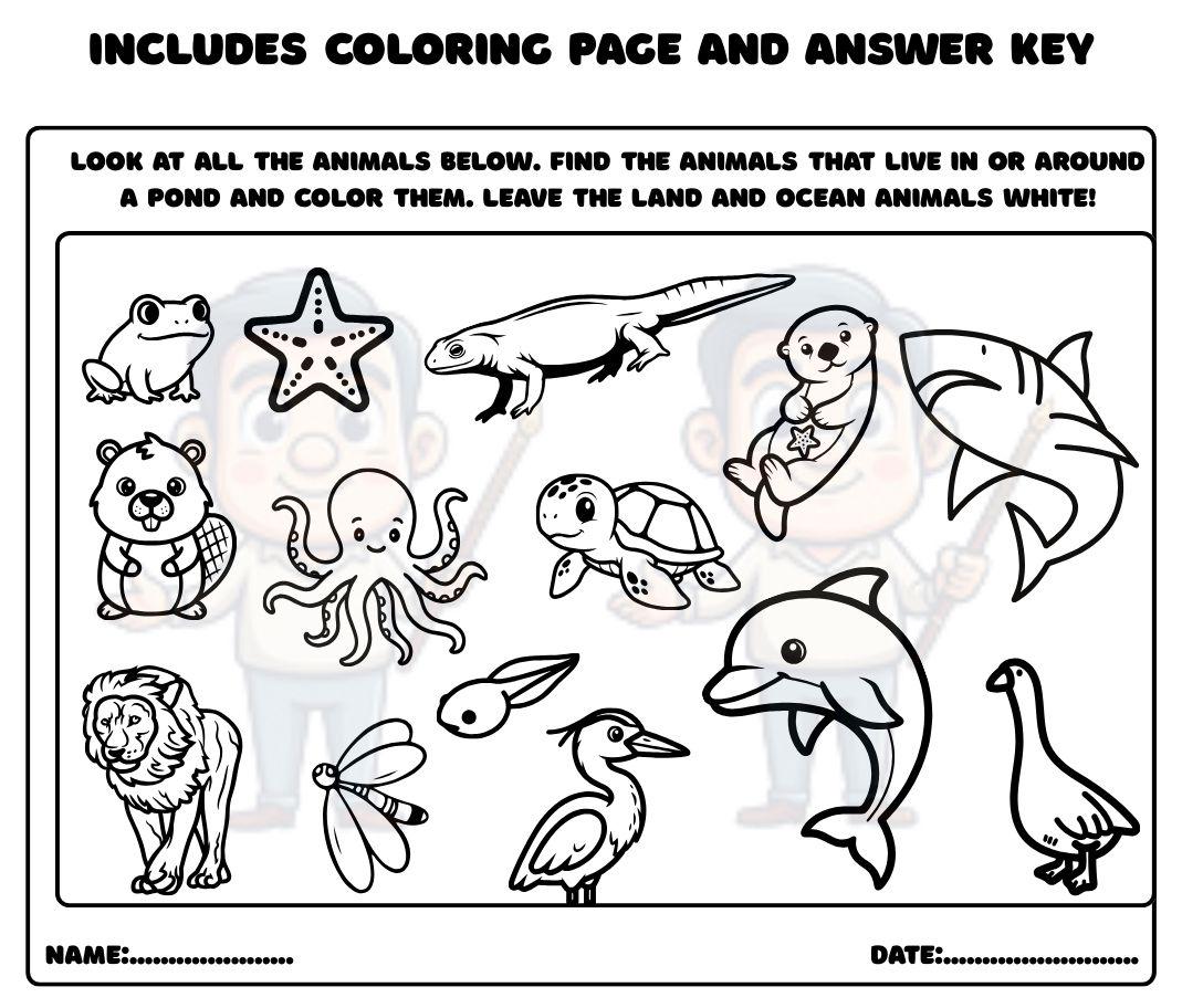 Spring Animal Habitats Sorting Activity - Cut and Paste Science ...
