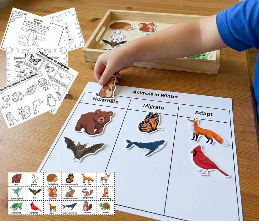 Animals in Winter Sorting: Hibernation, Migration & Adaptation | No ...