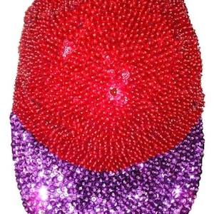 Sequin Baseball Hat Cap Red with Purple Brim Adults Unisex: Shimmer Polyester Adjustable Structured Fashion