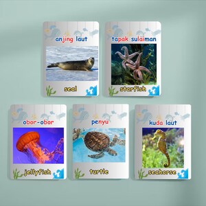 Sea Animal Flashcards Printable for Kids | Ocean Creatures Learning Cards | PDF Instant Download | Educational Preschool Activity